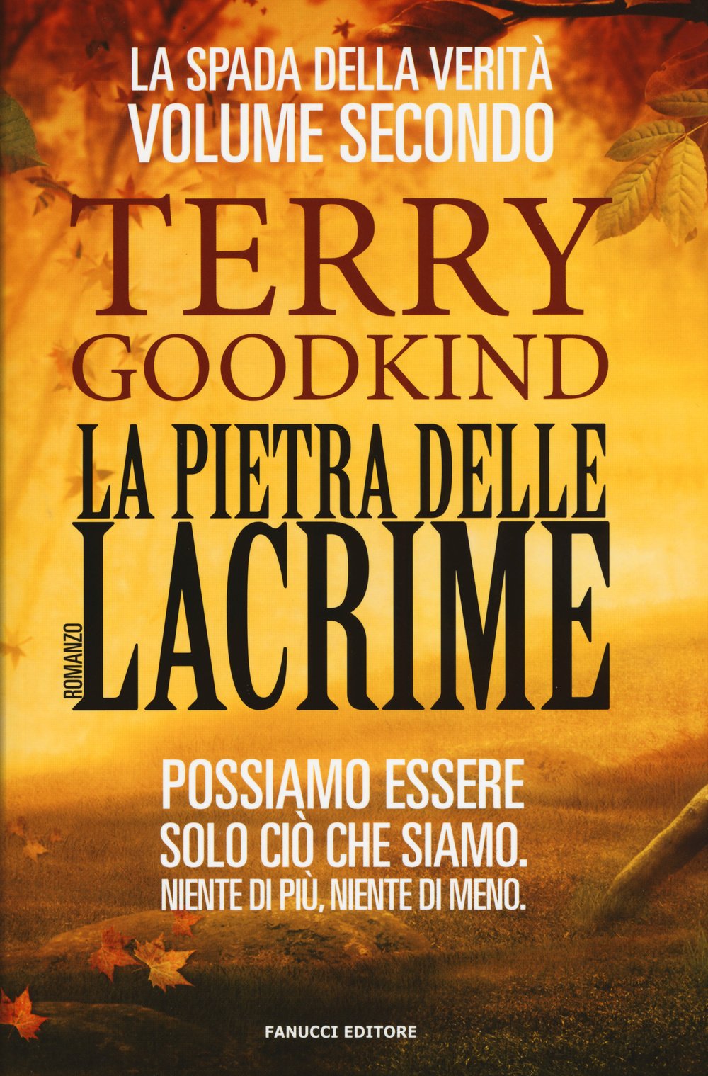 La pietra delle lacrime. La spada della verità (Vol. 2) book