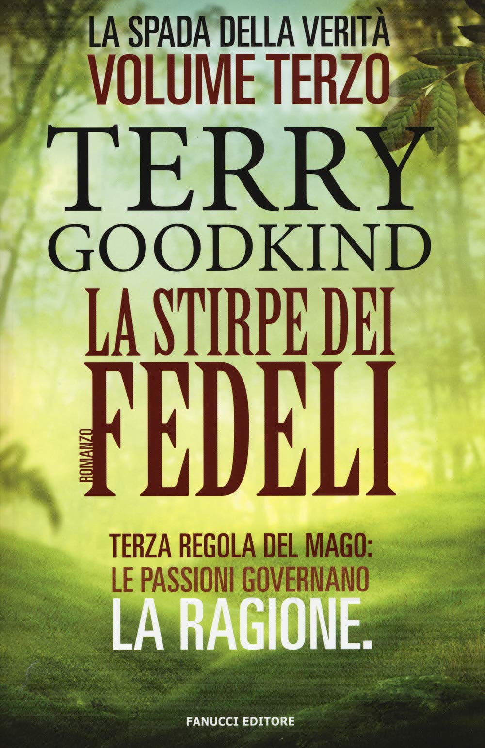La stirpe dei fedeli: La spada della verità vol. 3 book