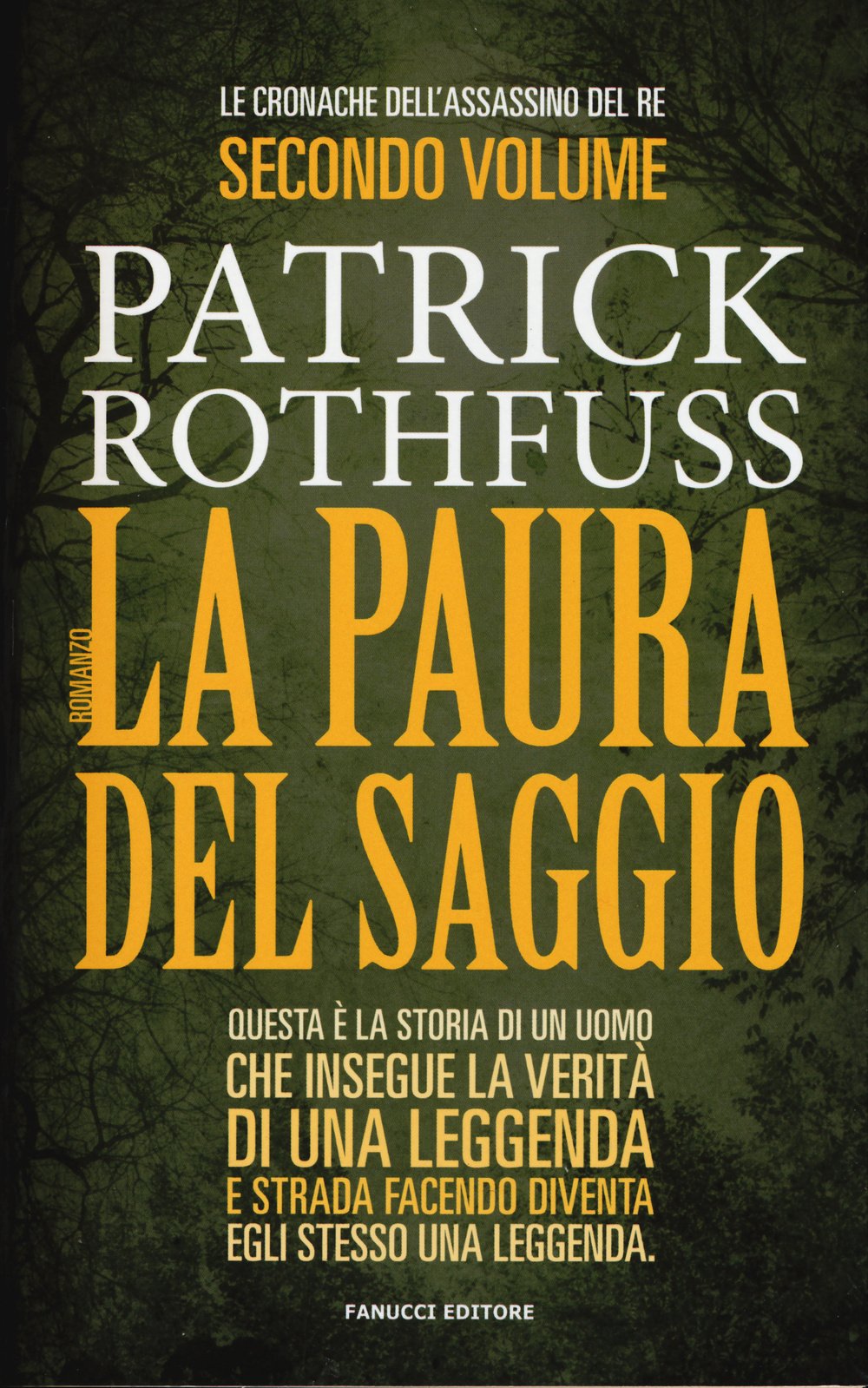La paura del saggio. Le cronache dell'assasino del re (Vol. 2) book