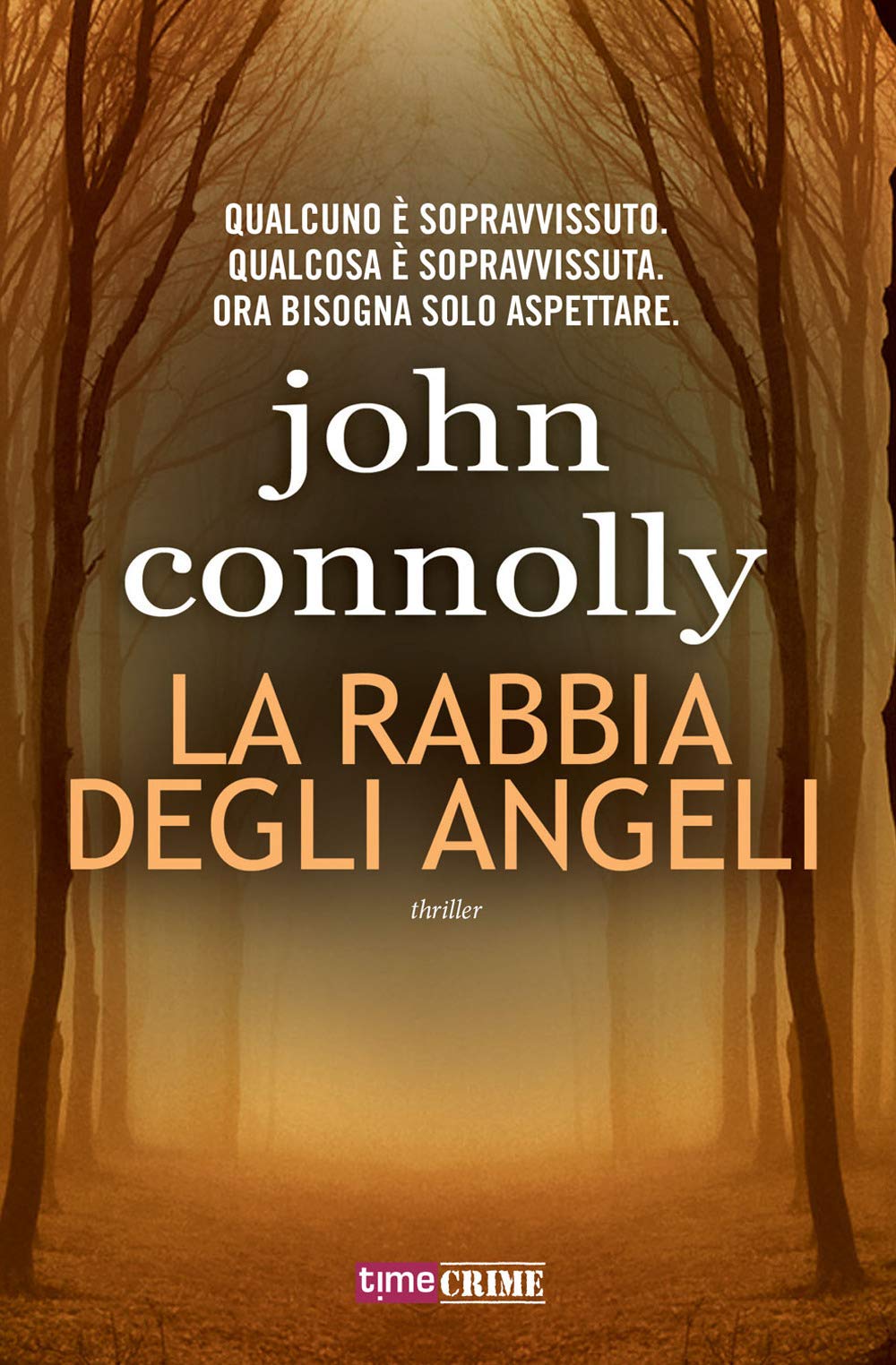 La rabbia degli angeli Contemporary literature