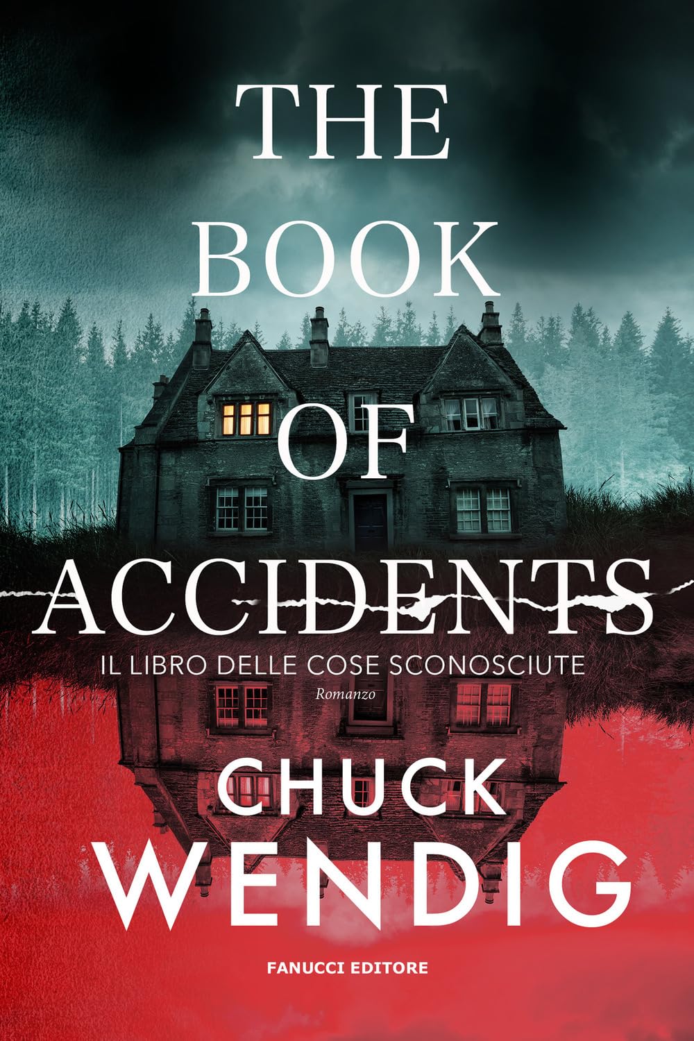 The book of accidents. Il libro delle cose sconosciute book
