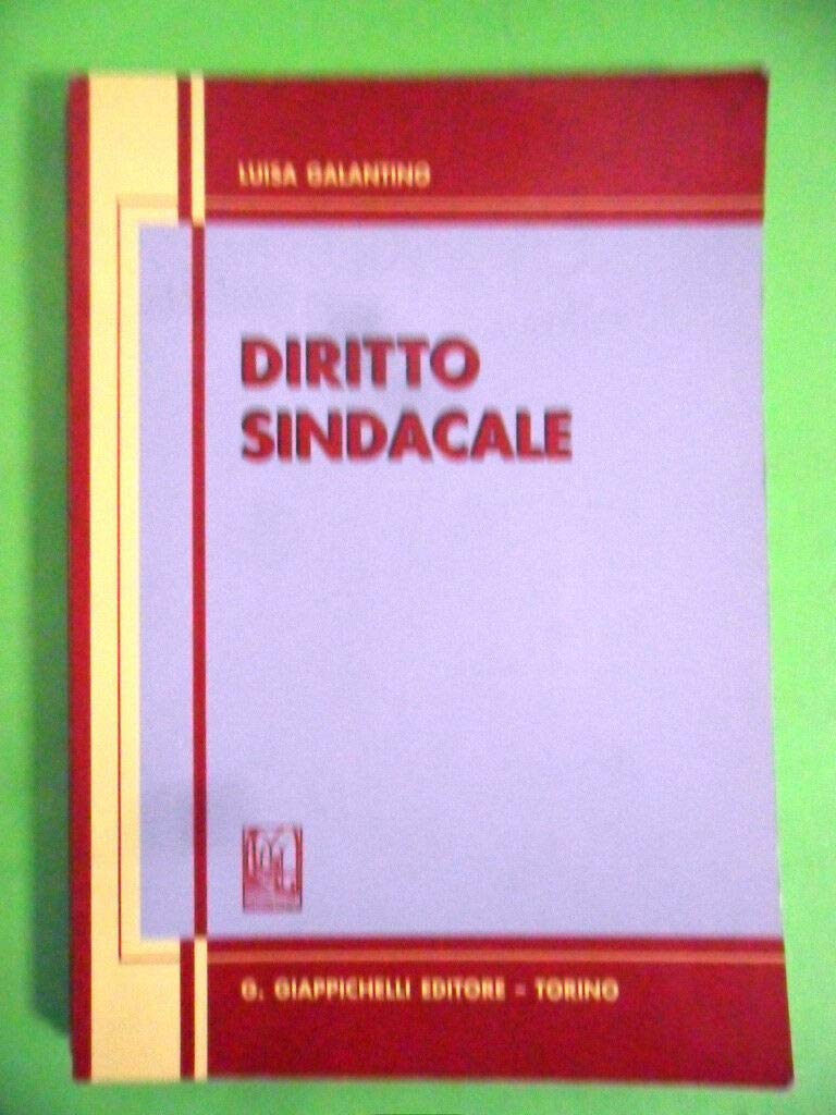 Diritto sindacale. Aggiornato al 30 giugno 2006 book