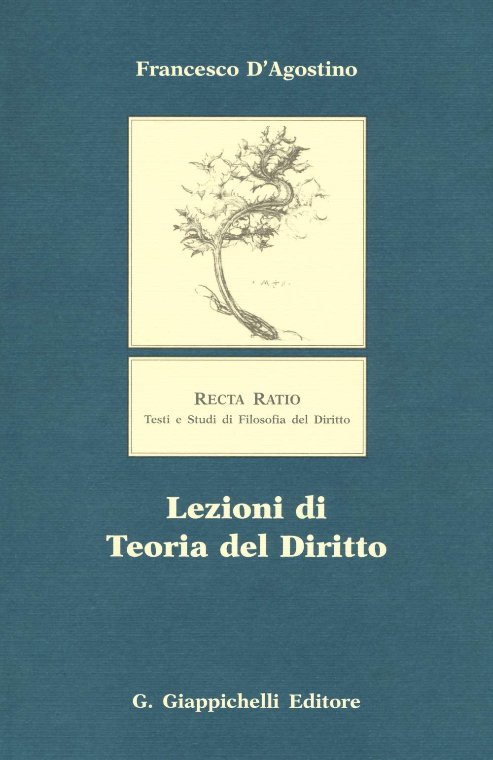 Lezioni di teoria del diritto book