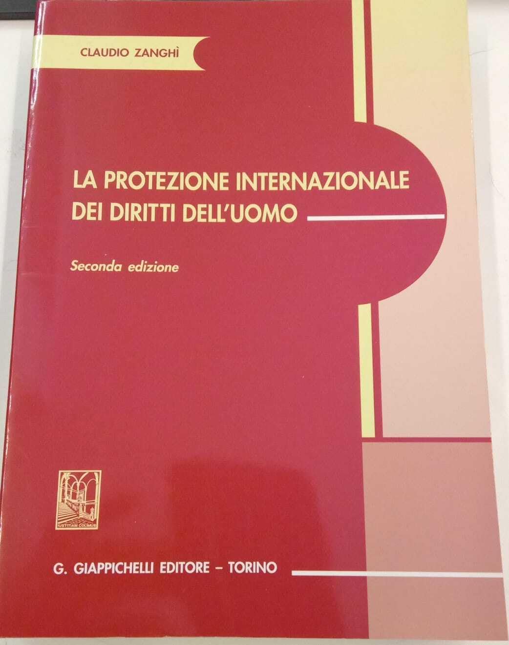 La protezione internazionale dei diritti dell'uomo Law