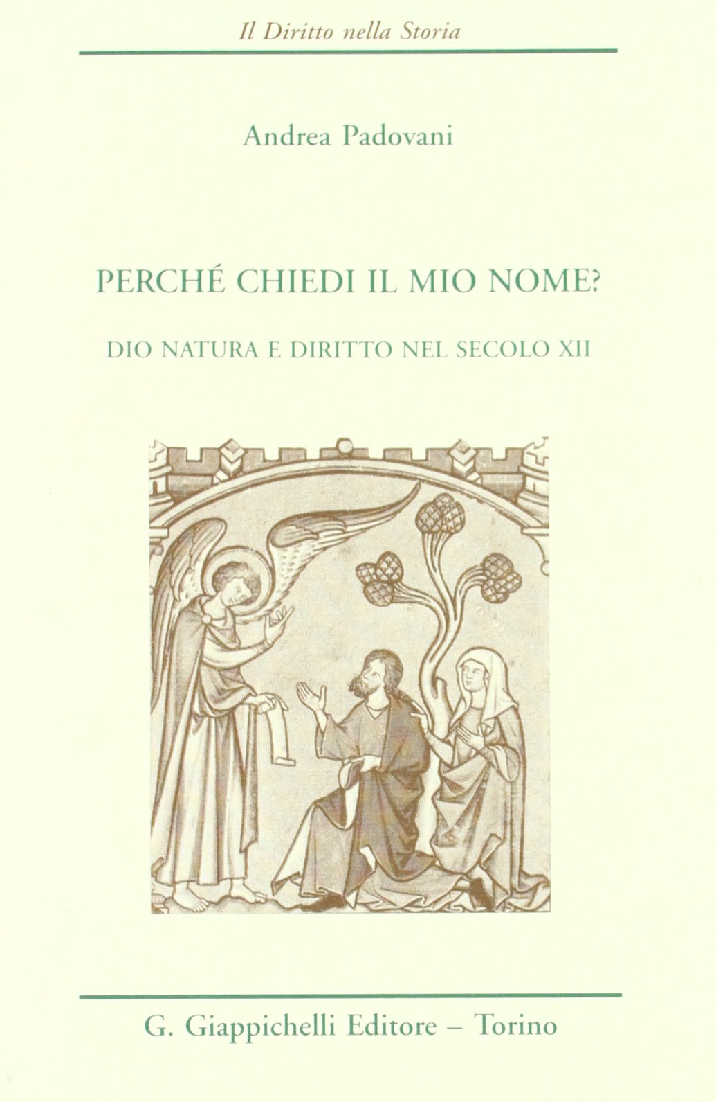 Perché chiedi il mio nome? Dio, natura e diritto nel secolo XII (Il diritto nella storia. Testi) Law