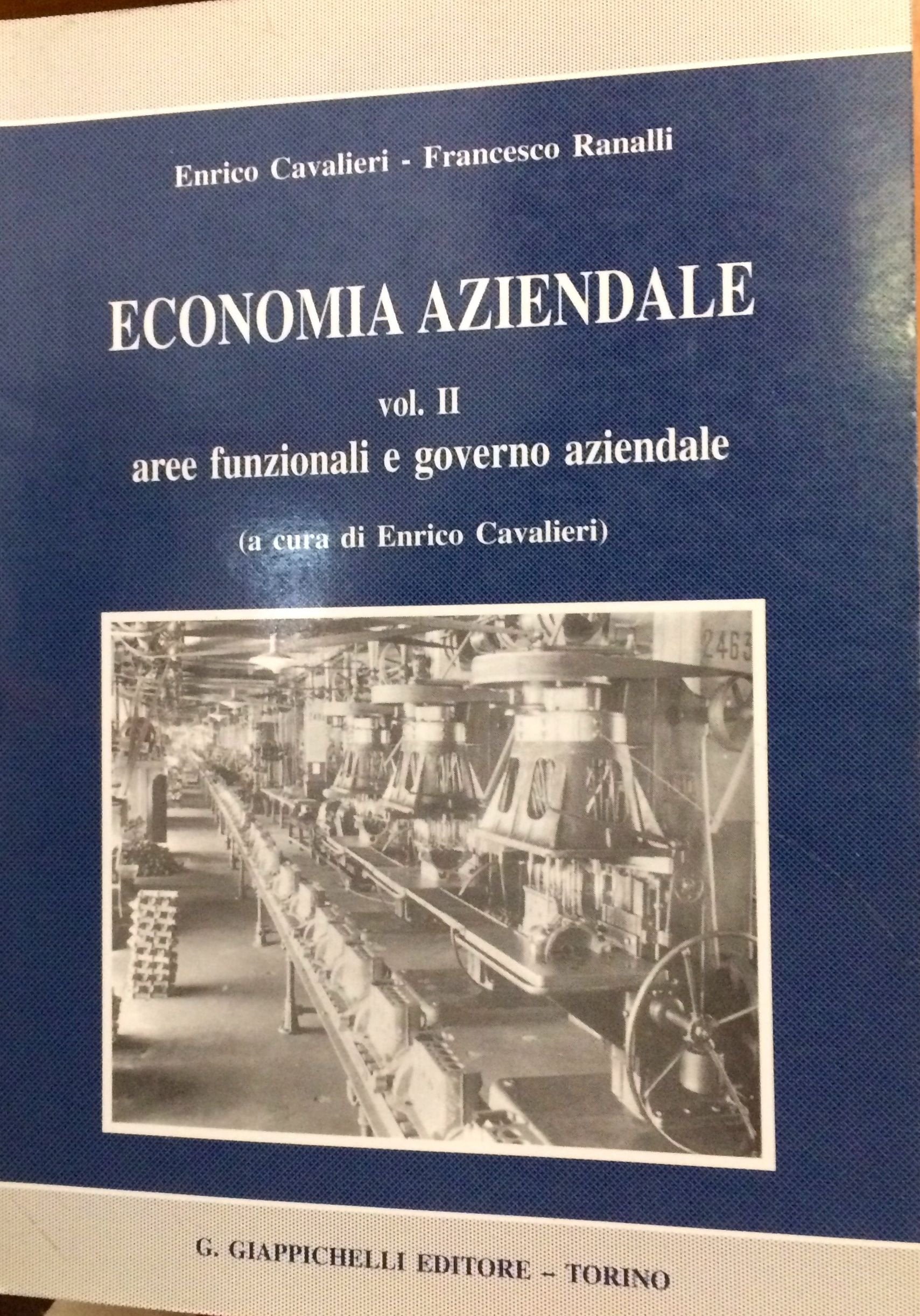 Economia aziendale. Aree funzionali e governo aziendale (Vol. 2) book