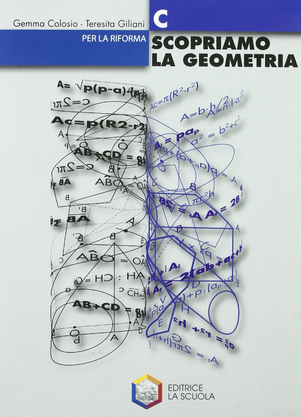 Scopriamo la geometria. Modulo C. Per la Scuola media Professional & Reference Books