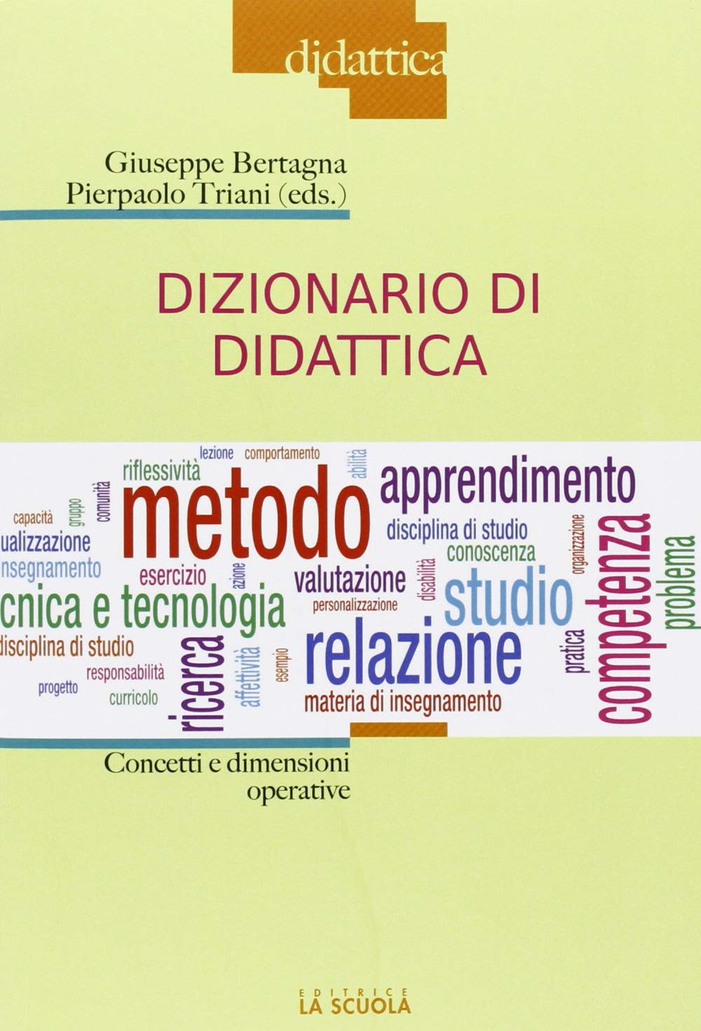 Dizionario di didattica. Concetti e dimensioni operative book