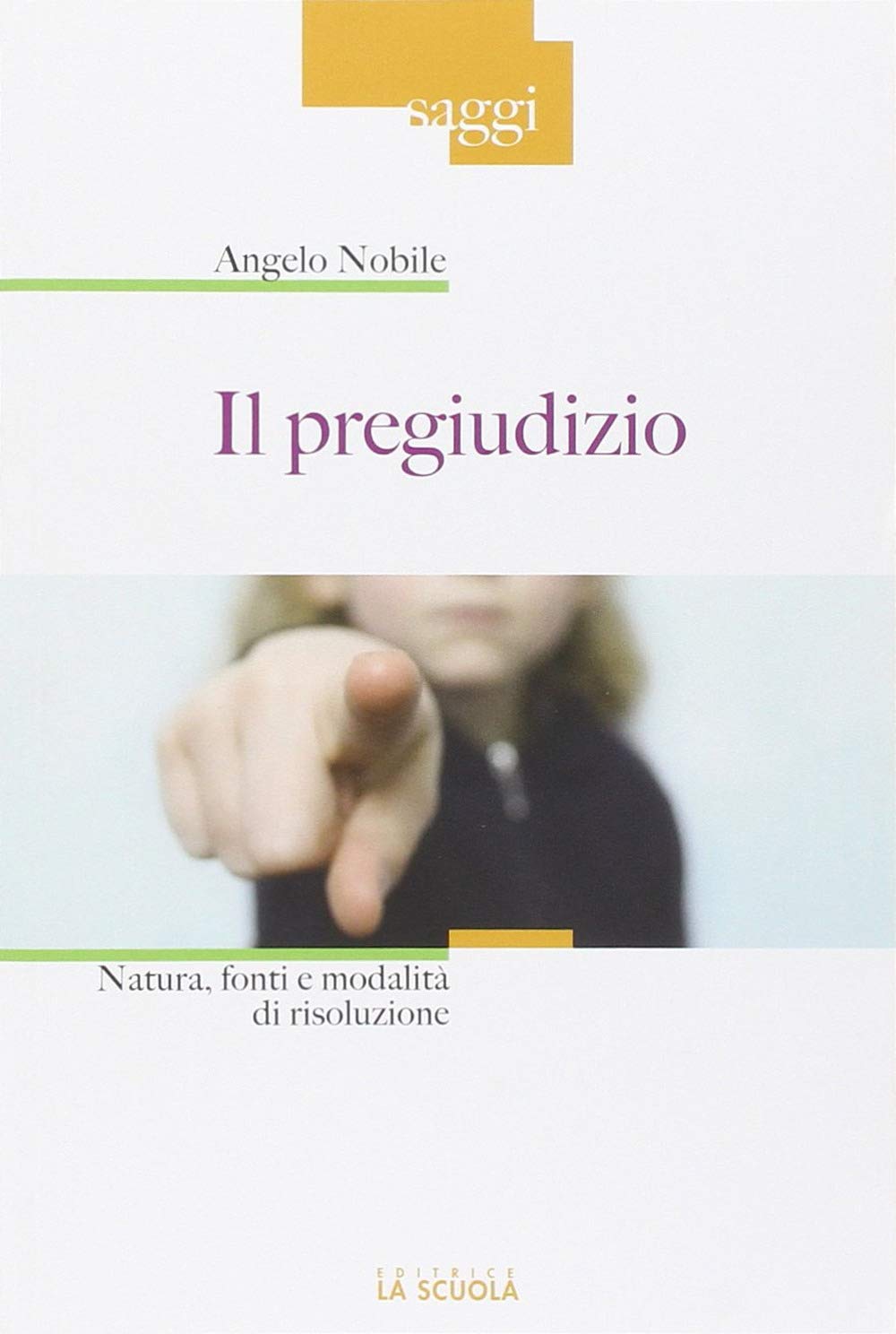 Il pregiudizio. Natura, fonti e modalità di risoluzione book