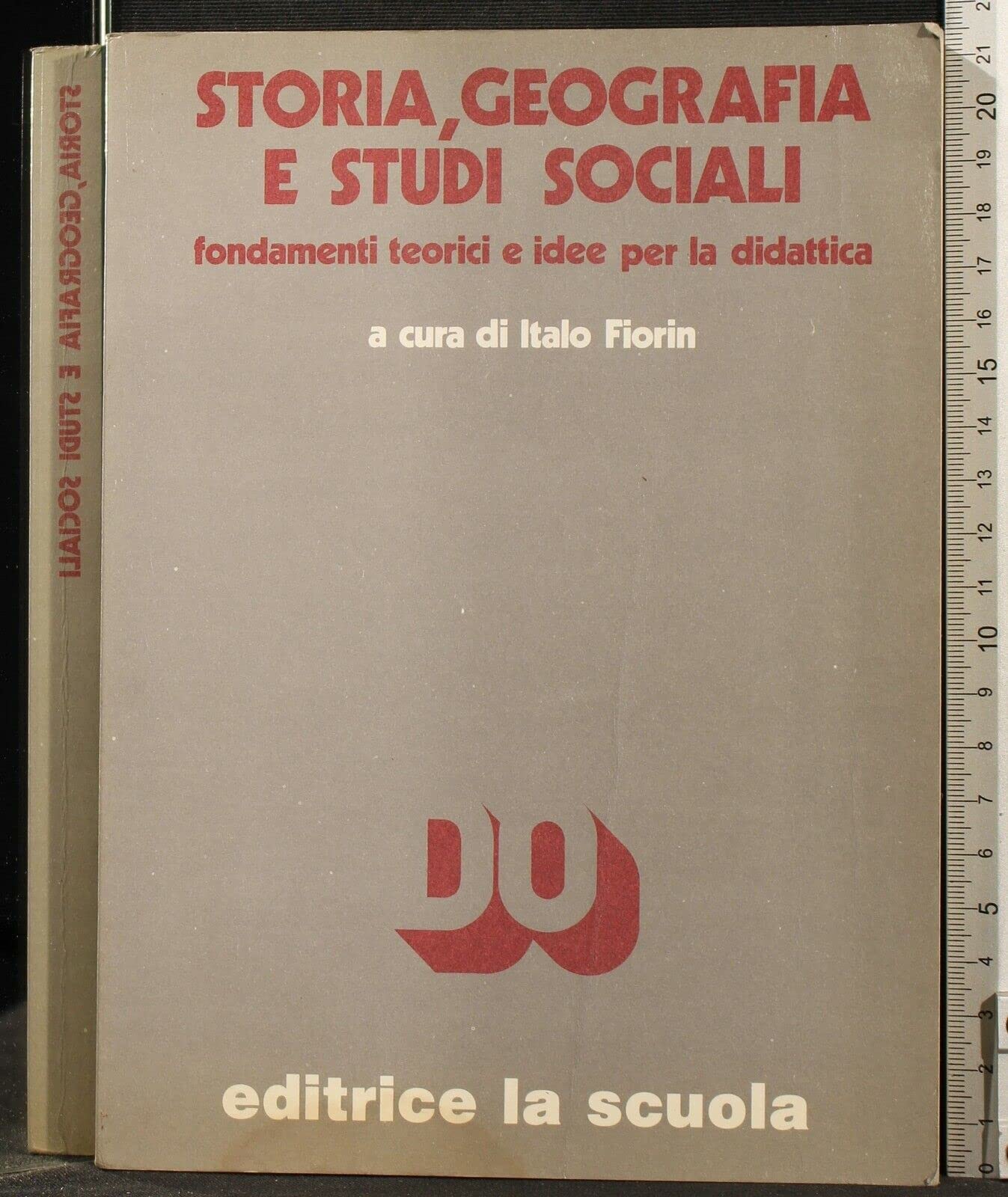 Storia, geografia e studi sociali. Fondamenti teorici e idee per la didattica book