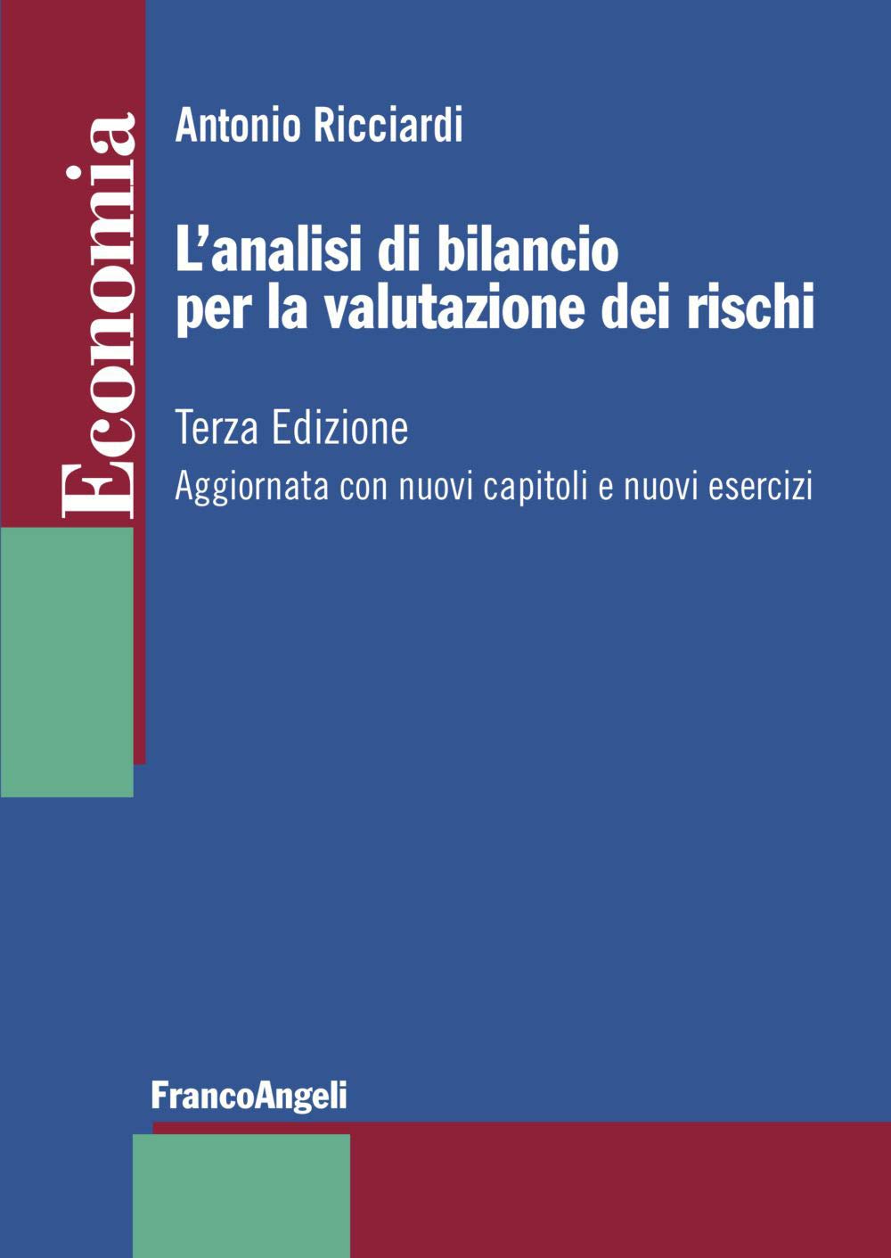 L'analisi di bilancio per la valutazione dei rischi. Aggiornata con nuovi capitoli e nuovi esercizi book