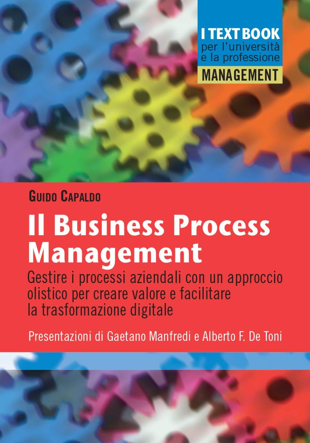 Il business process management. Gestire i processi aziendali con un approccio olistico per creare valore e facilitare la trasformazione digitale book