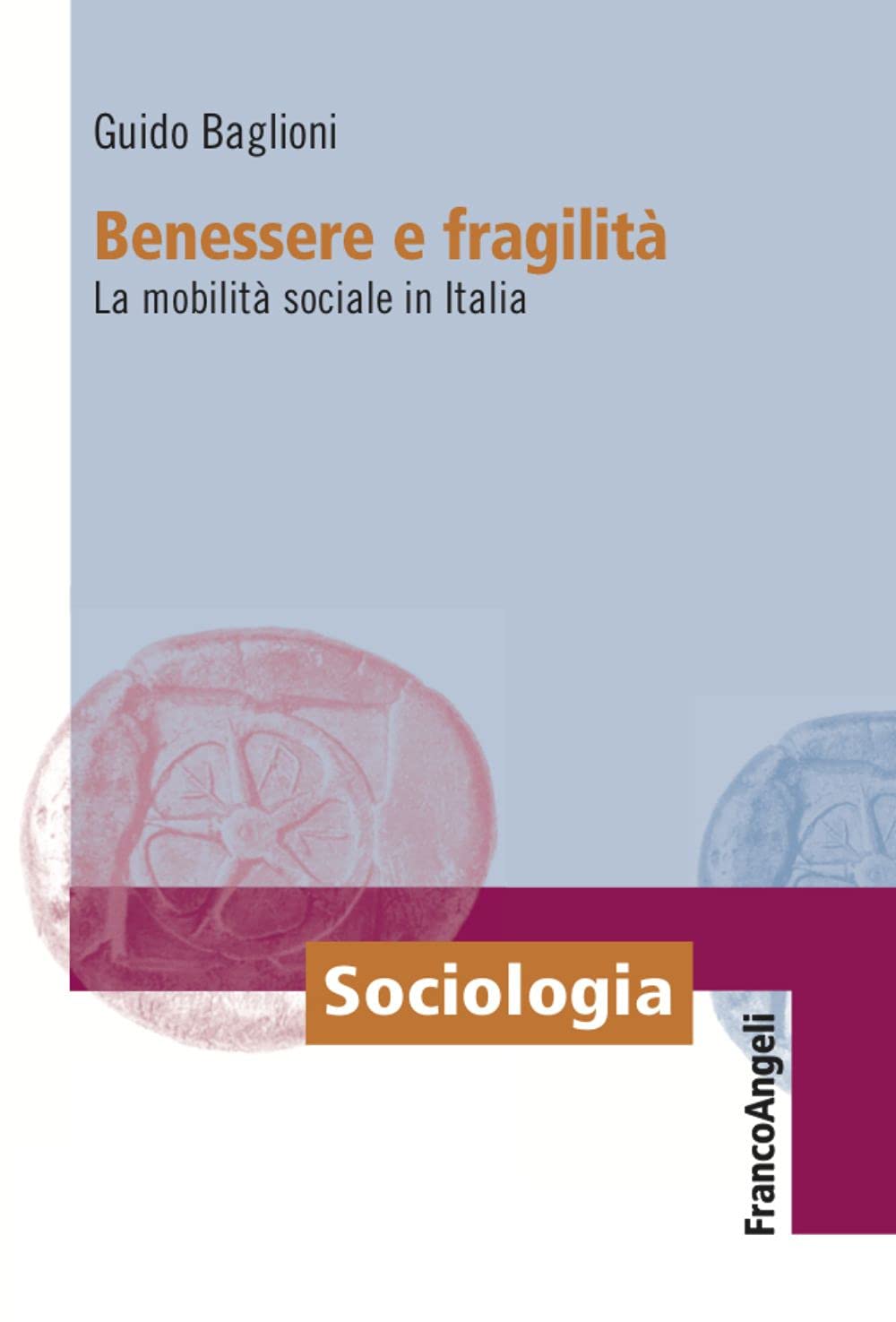 Benessere e fragilità. La mobilità sociale in Italia book