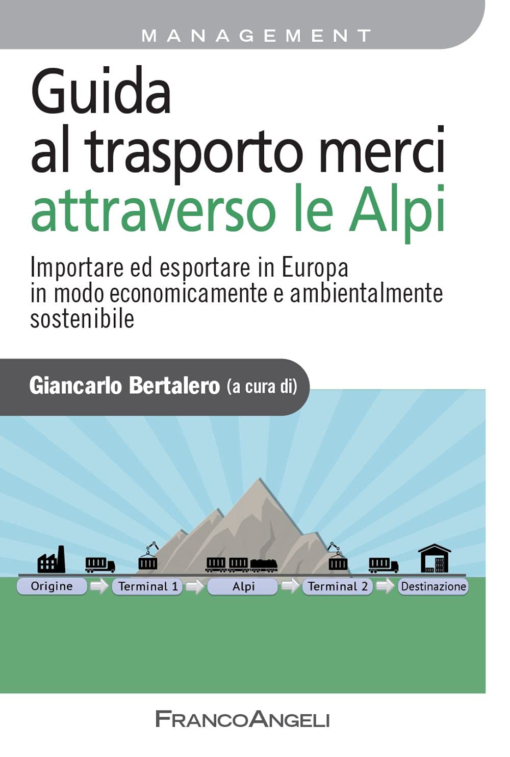 Guida Al Trasporto Merci Attraverso Le Alpi. Importare ed Esportare in Europa in Modo Economicamente E Ambientalmente Sostenibile Business, Finance & Career