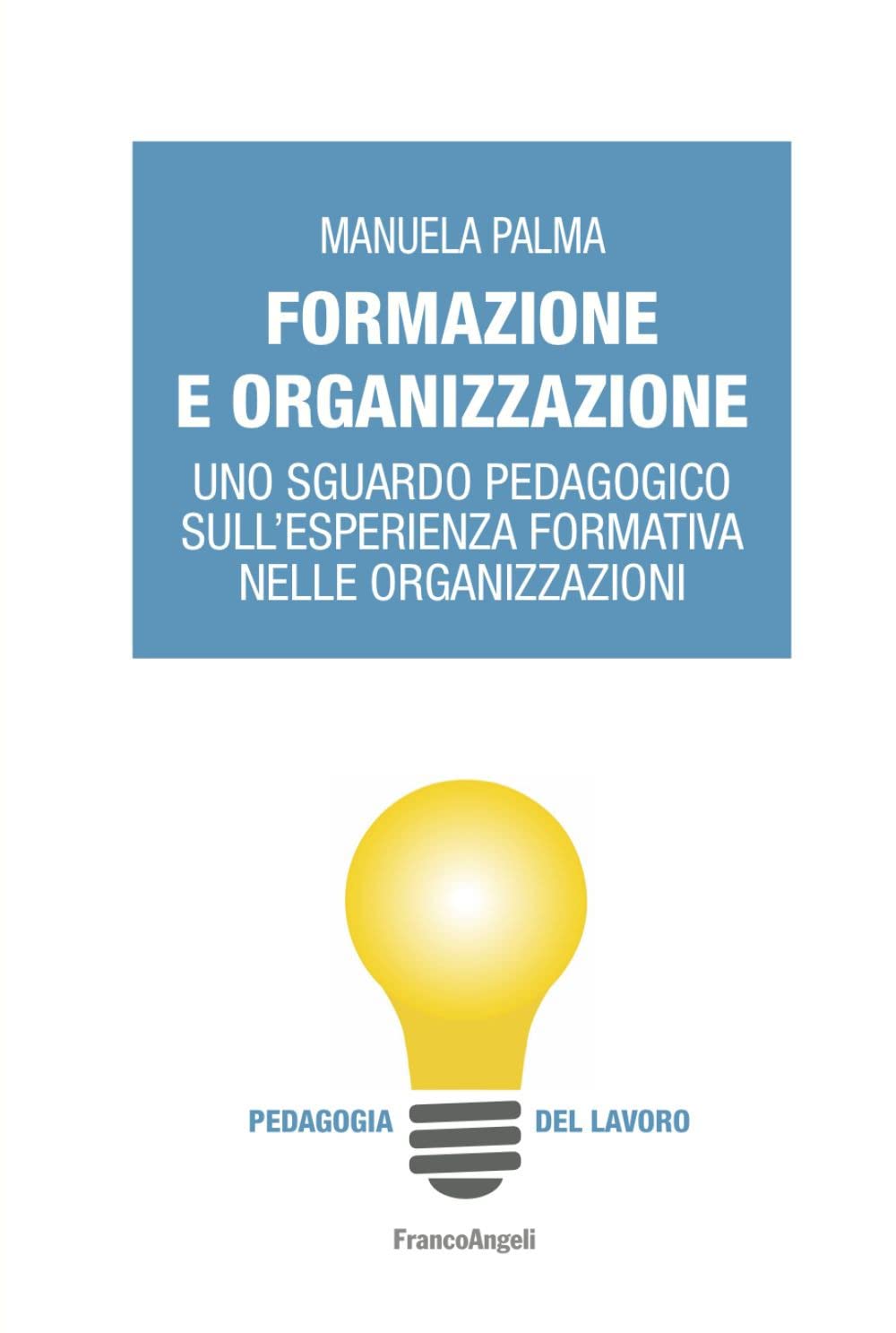 Formazione e organizzazione. Uno sguardo pedagogico sull’esperienza formativa nelle organizzazioni book