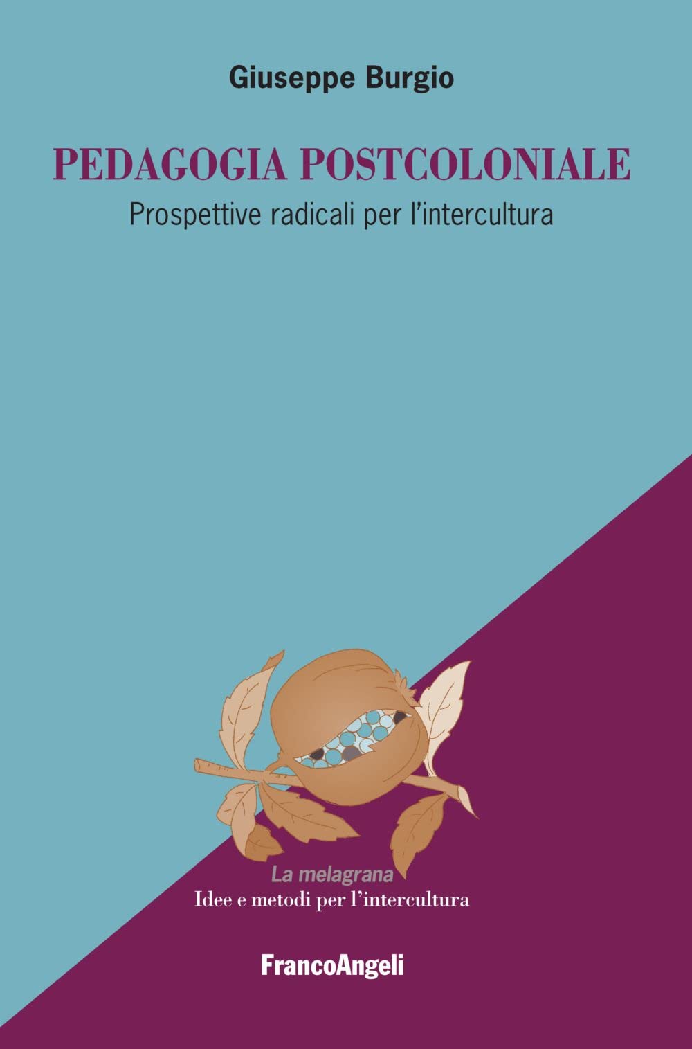 Pedagogia postcoloniale. Prospettive radicali per l'intercultura book