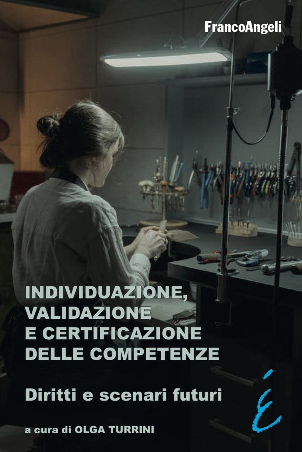 Individuazione, validazione e certificazione delle competenze. Diritti e scenari futuri book
