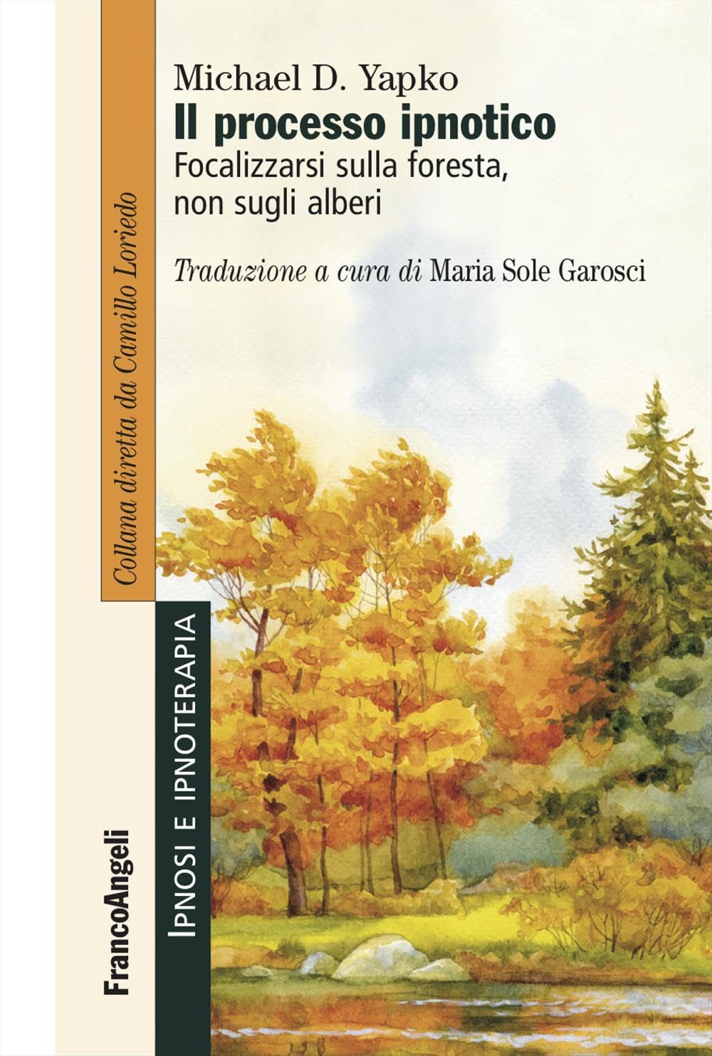 Il processo ipnotico. Focalizzarsi sulla foresta, non sugli alberi book