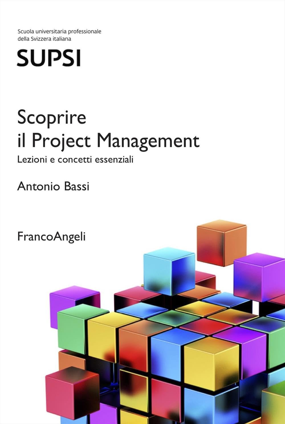 Scoprire il Project Management. Lezioni e concetti essenziali book