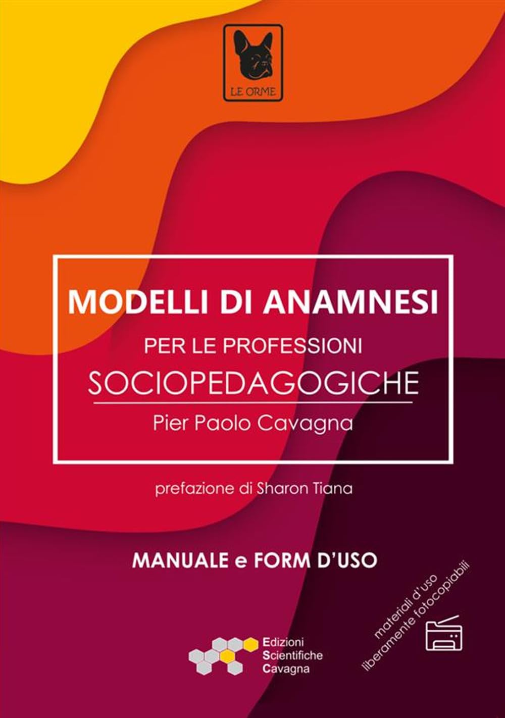 Modelli di anamnesi per le professioni sociopedagogiche book