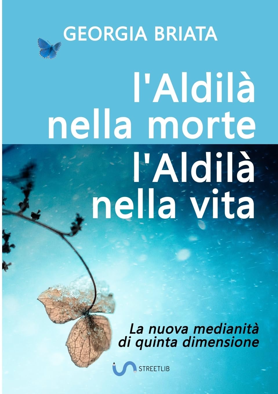 L'aldilà nella morte, l'Aldilà nella vita: La nuova medianità di quinta dimensione book