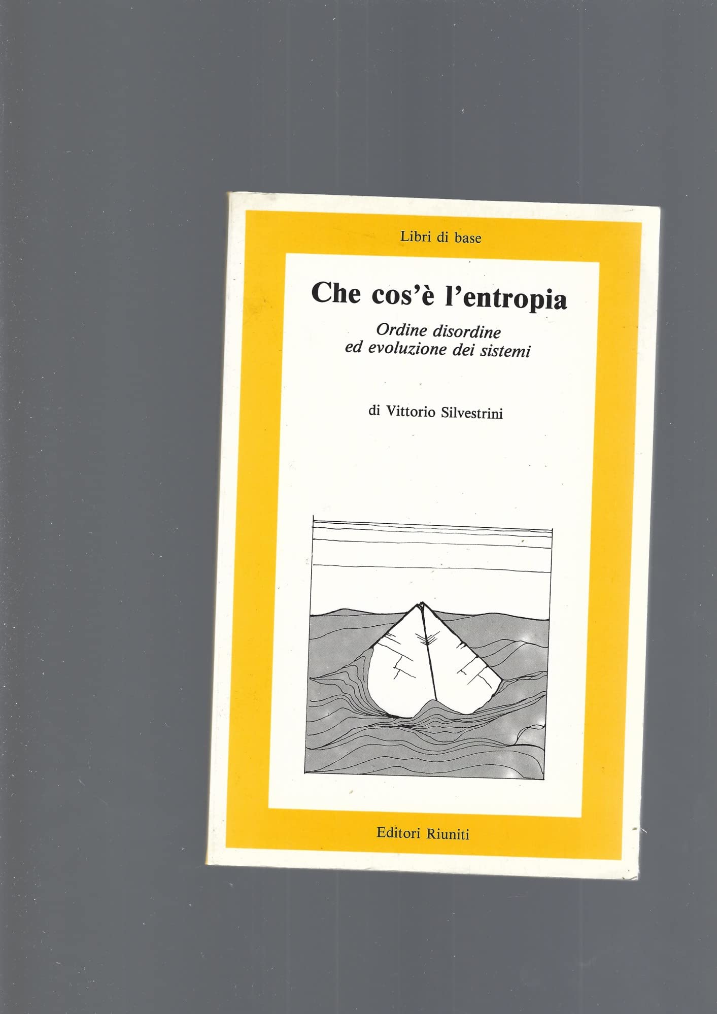 Che cos'è l'entropia. Ordine, disordine ed evoluzione dei sistemi (Libri di base) Reference Books