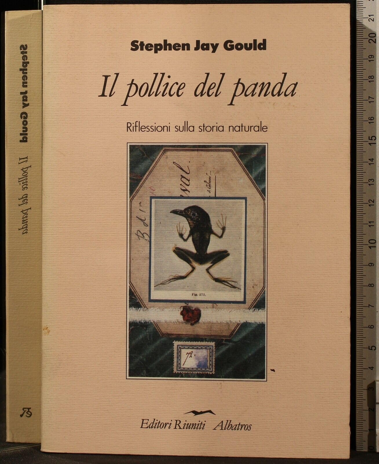 Il pollice del panda. Riflessioni sulla storia naturale book