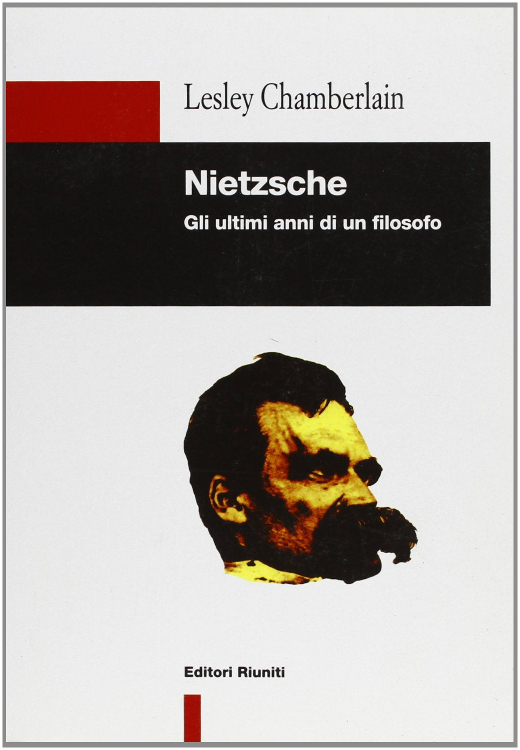 Nietzsche. Gli ultimi anni di un filosofo book