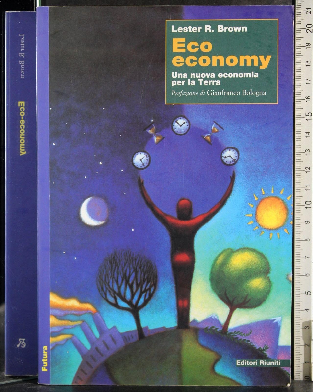 Eco economy. Una nuova economia per la terra book