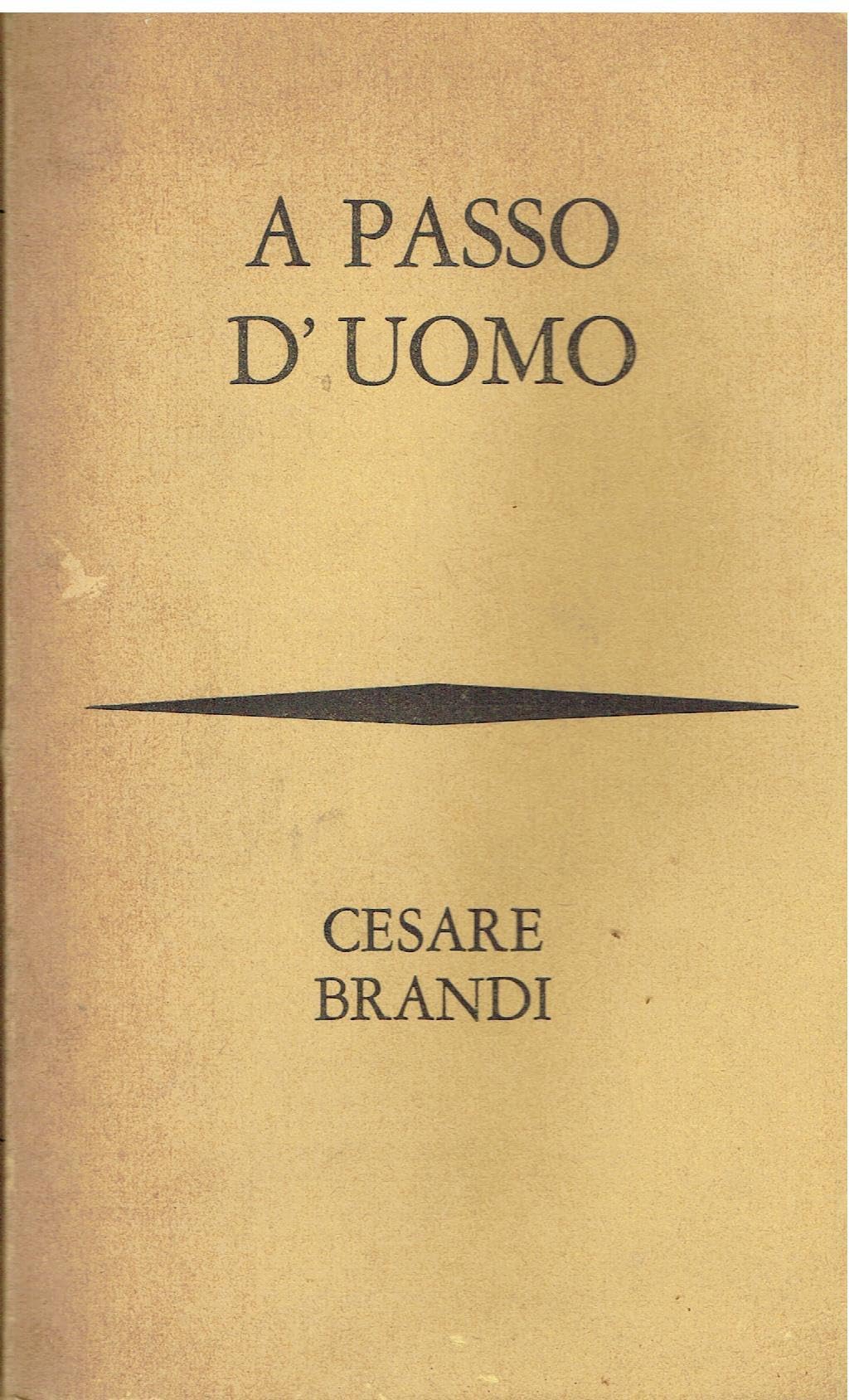 A passo d'uomo (Viaggi d'autore) Leisure, Home & Garden
