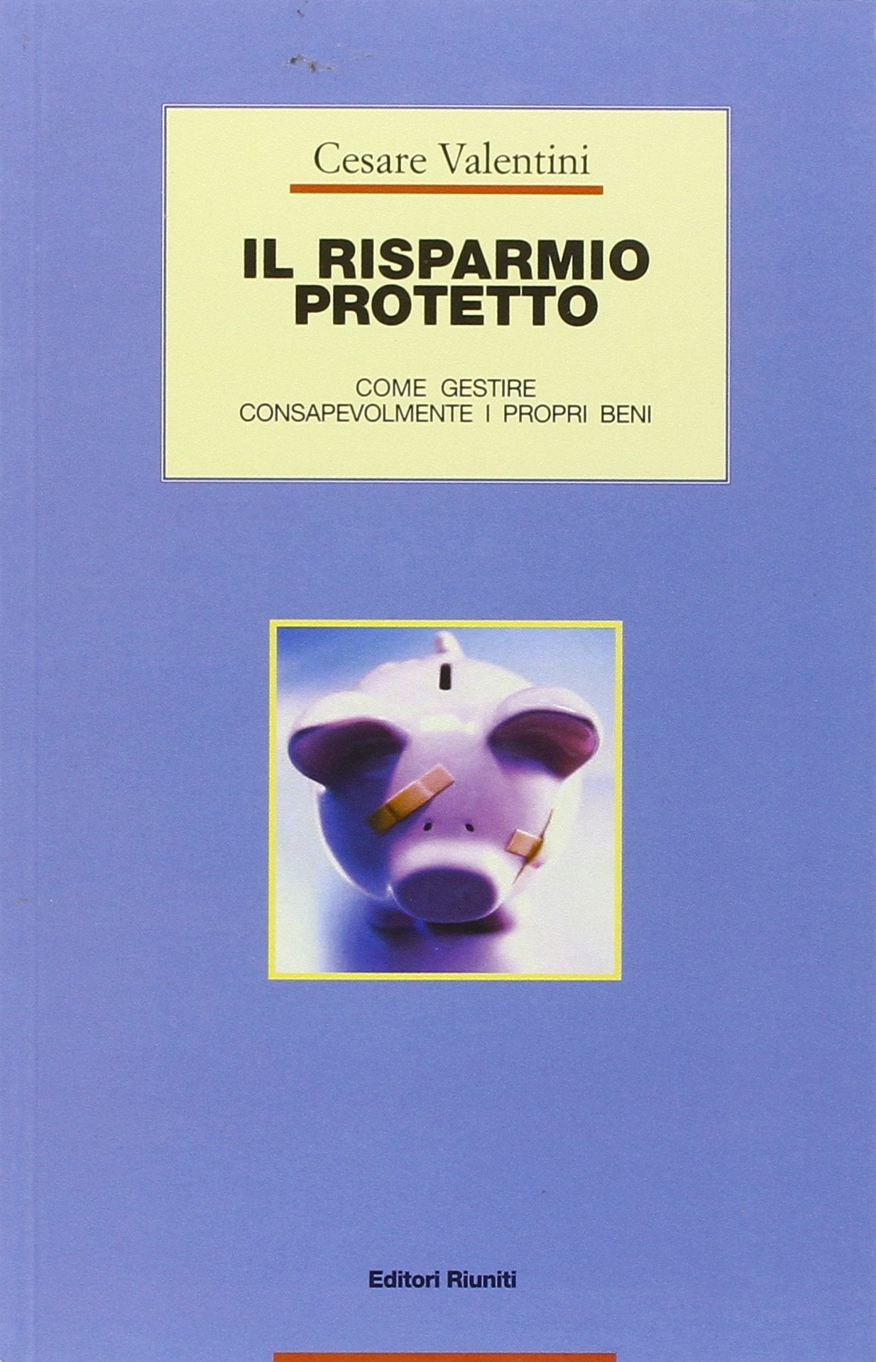 Il risparmio protetto. Come gestire consapevolmente i propri beni (Guide/manuali) Business & Technology