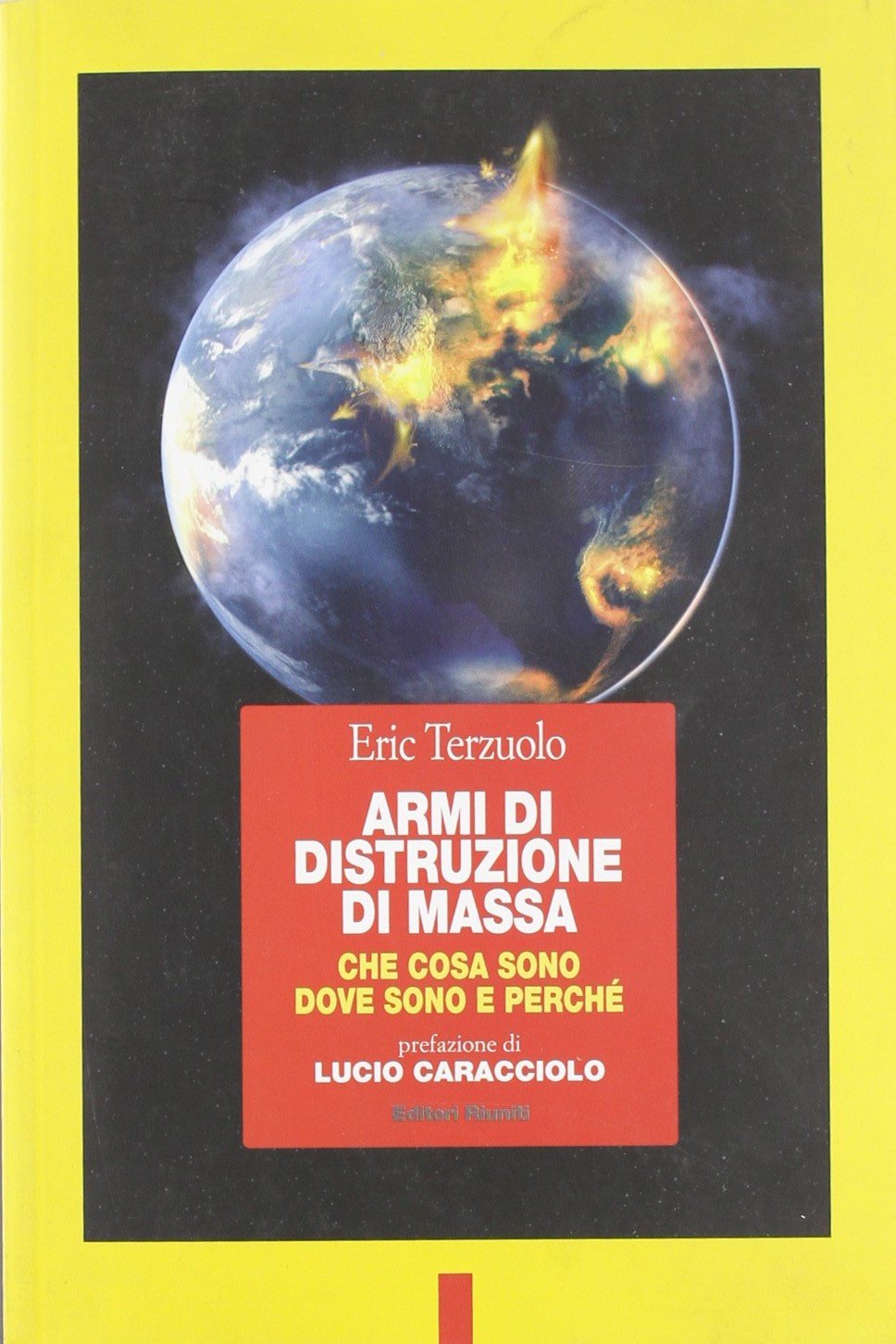 Armi di distruzione di massa. Che cosa sono, dove sono e perché book