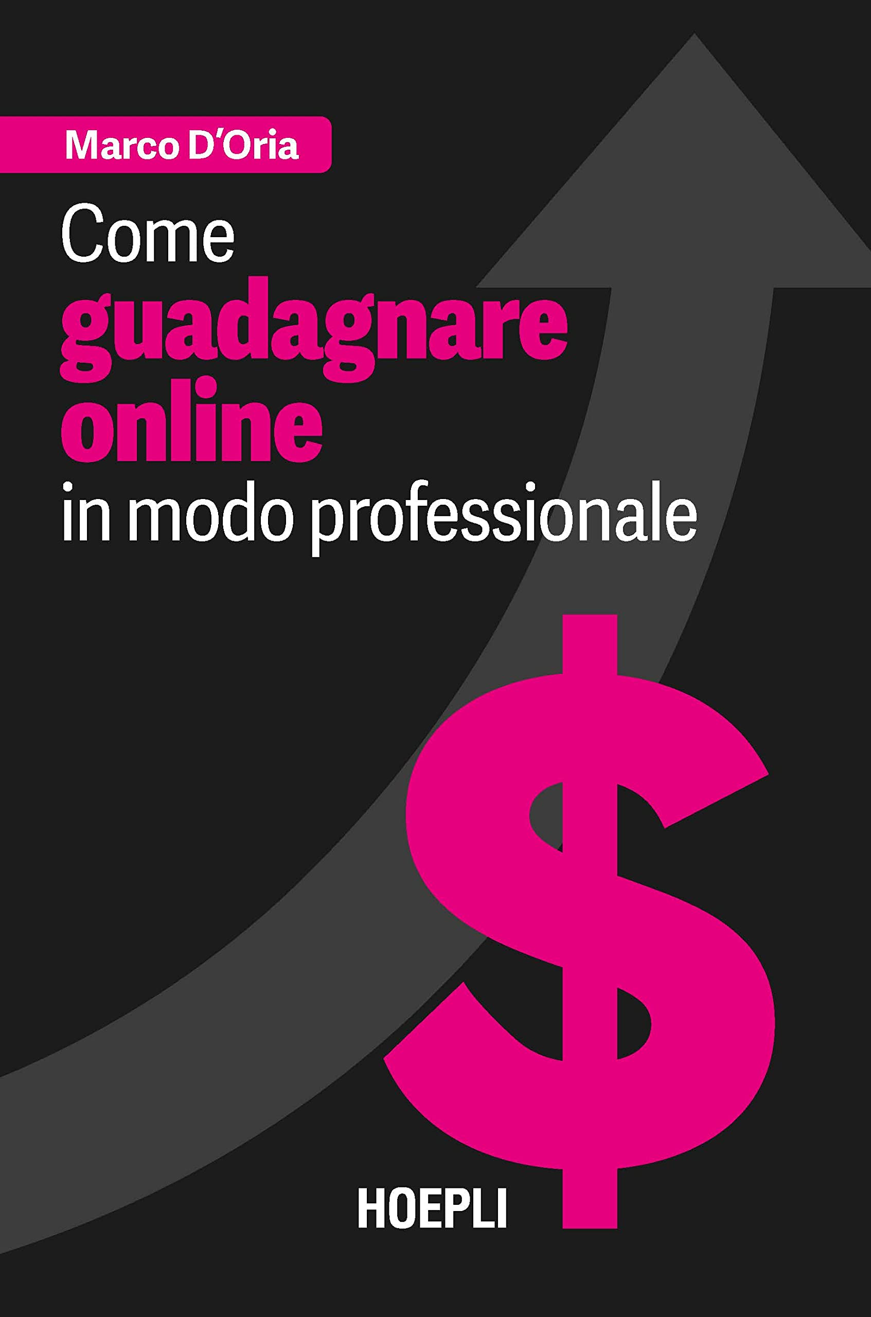 Come guadagnare online in modo professionale book