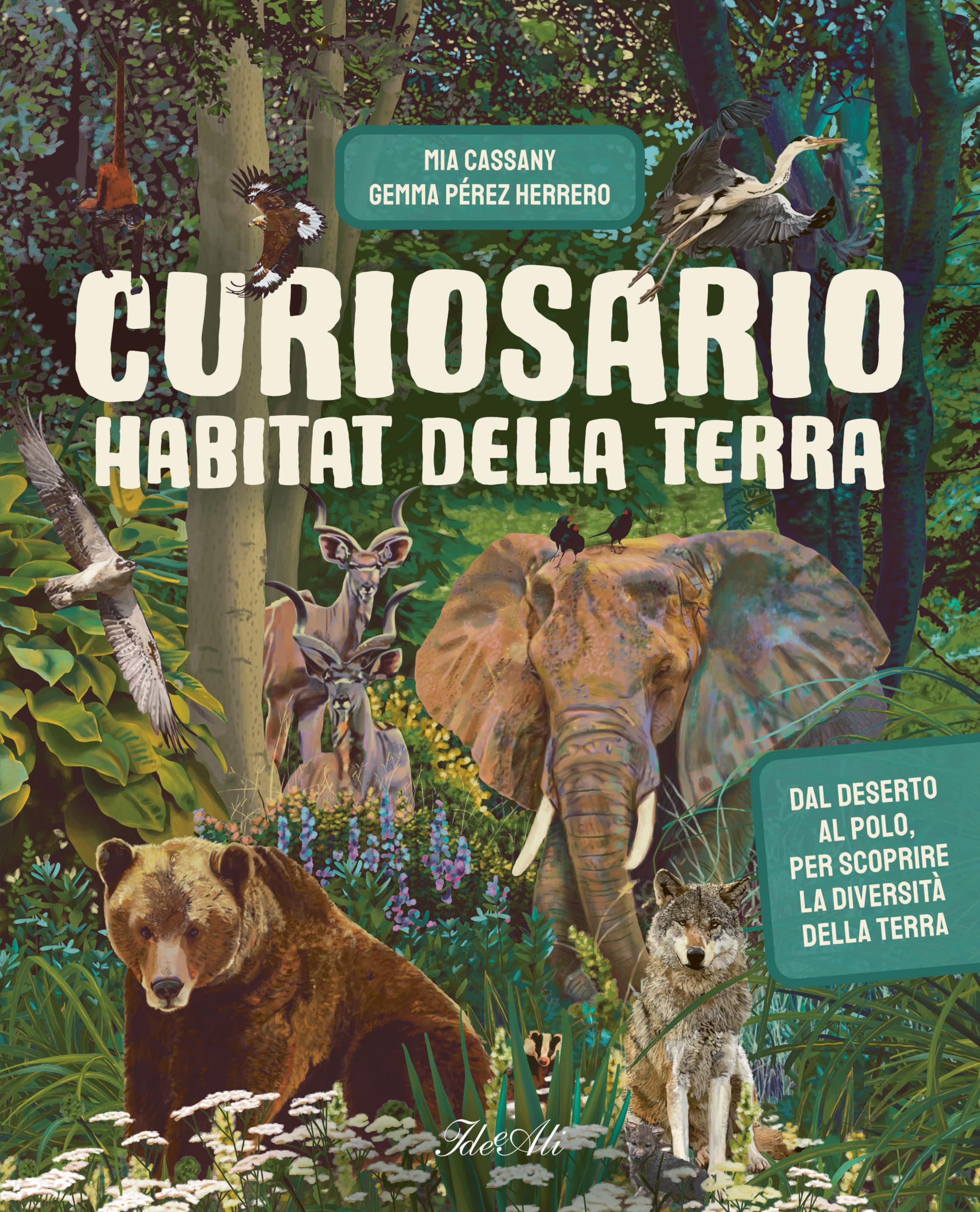 Curiosario. Ediz. a colori book