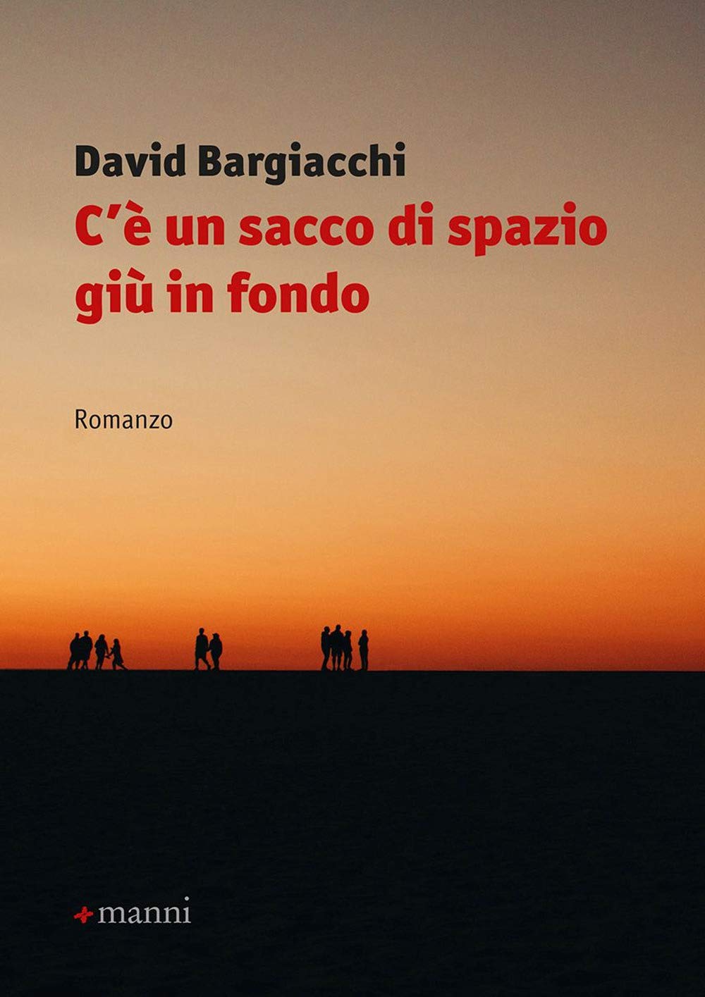 C'è un sacco di spazio giù in fondo (Occasioni) Contemporary literature