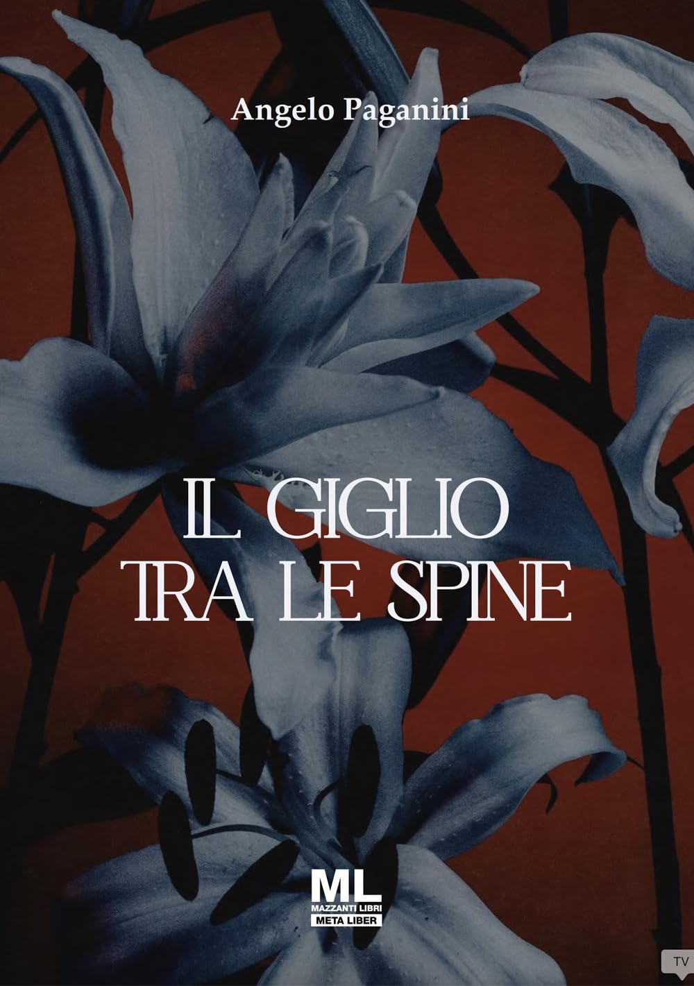 Il giglio tra le spine. Ediz. speciale. Con Contenuto digitale per accesso online (Meta liber) Contemporary literature