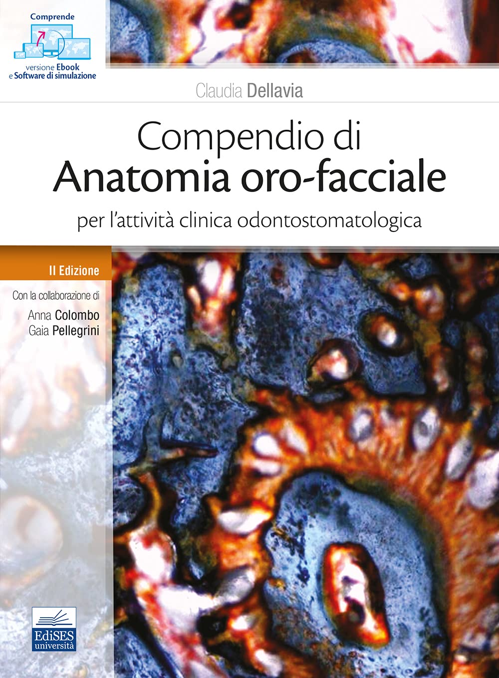Compendio di anatomia oro-facciale per l'attività clinica odontostomatologica Medicine