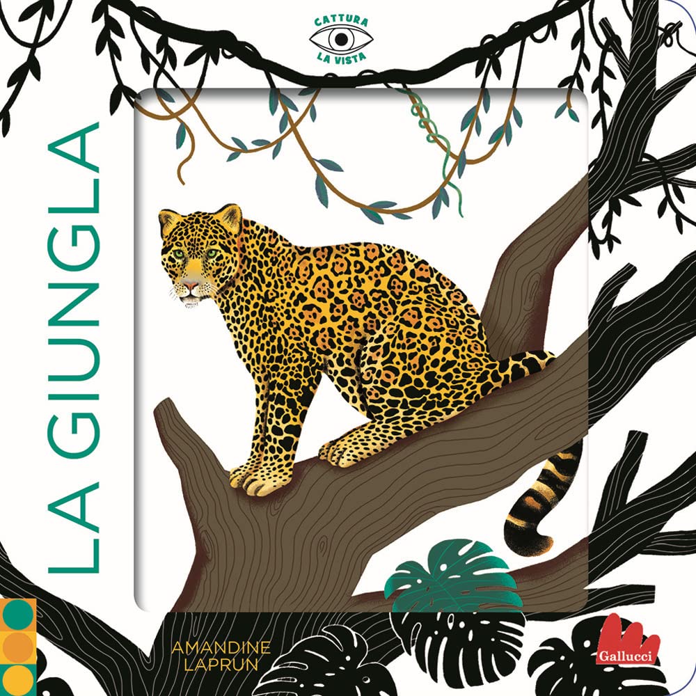 La giungla. Cattura la vista. Ediz. a colori book