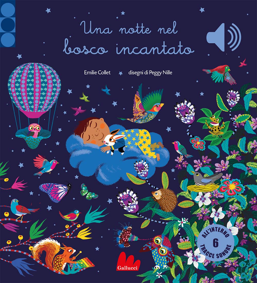 Una notte nel bosco incantato. Ediz. a colori book