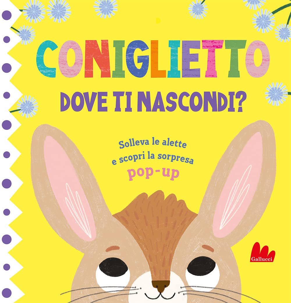 Coniglietto. Dove ti nascondi? book