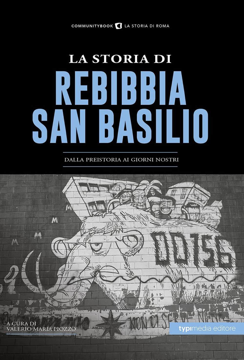 La Storia di Rebibbia-San Basilio. Dalla preistoria ai giorni nostri book