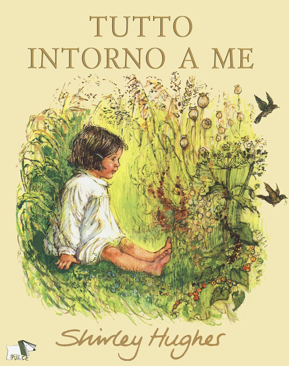 Tutto intorno a me book
