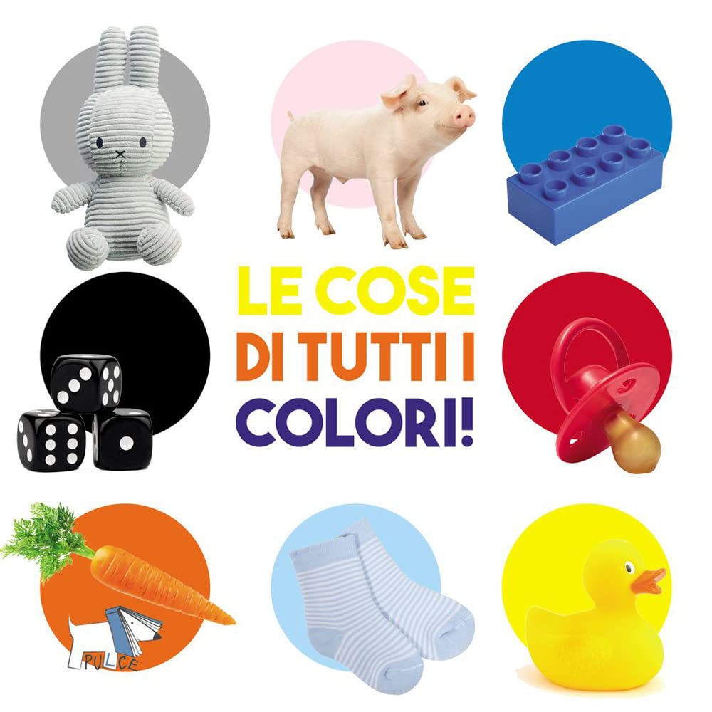 Le cose di tutti i colori. Ediz. a colori book