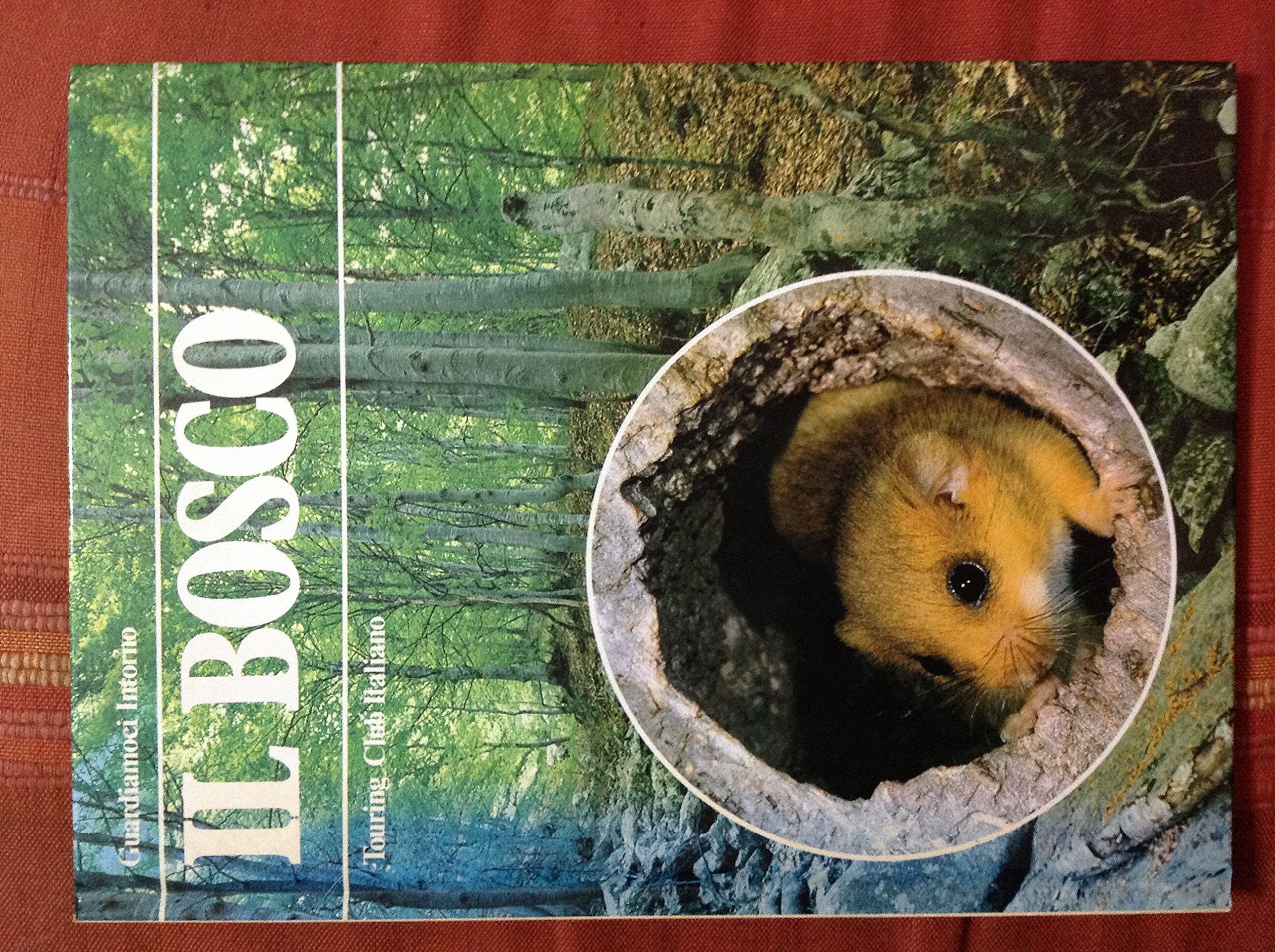 Il bosco (Guardiamoci intorno) Leisure, Home & Garden