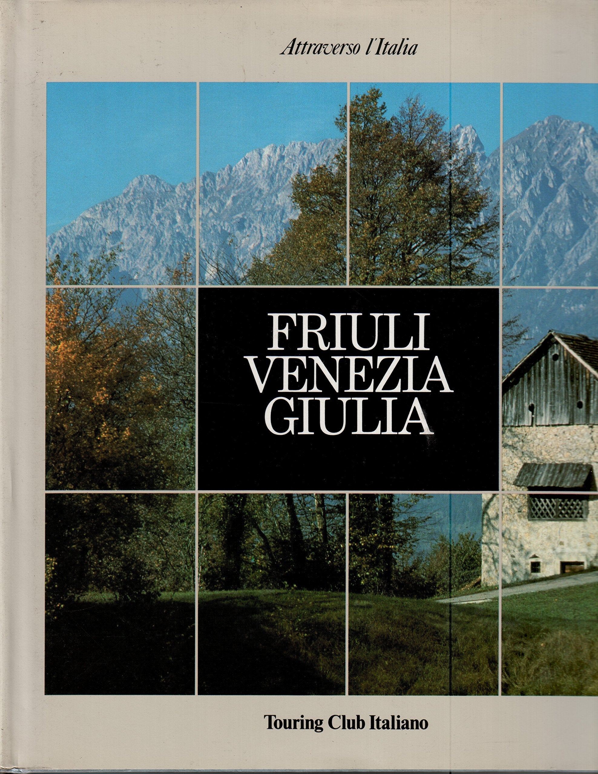Friuli Venezia Giulia. La crisi dei cinquant'anni (Attraverso l'Italia) Politics & History