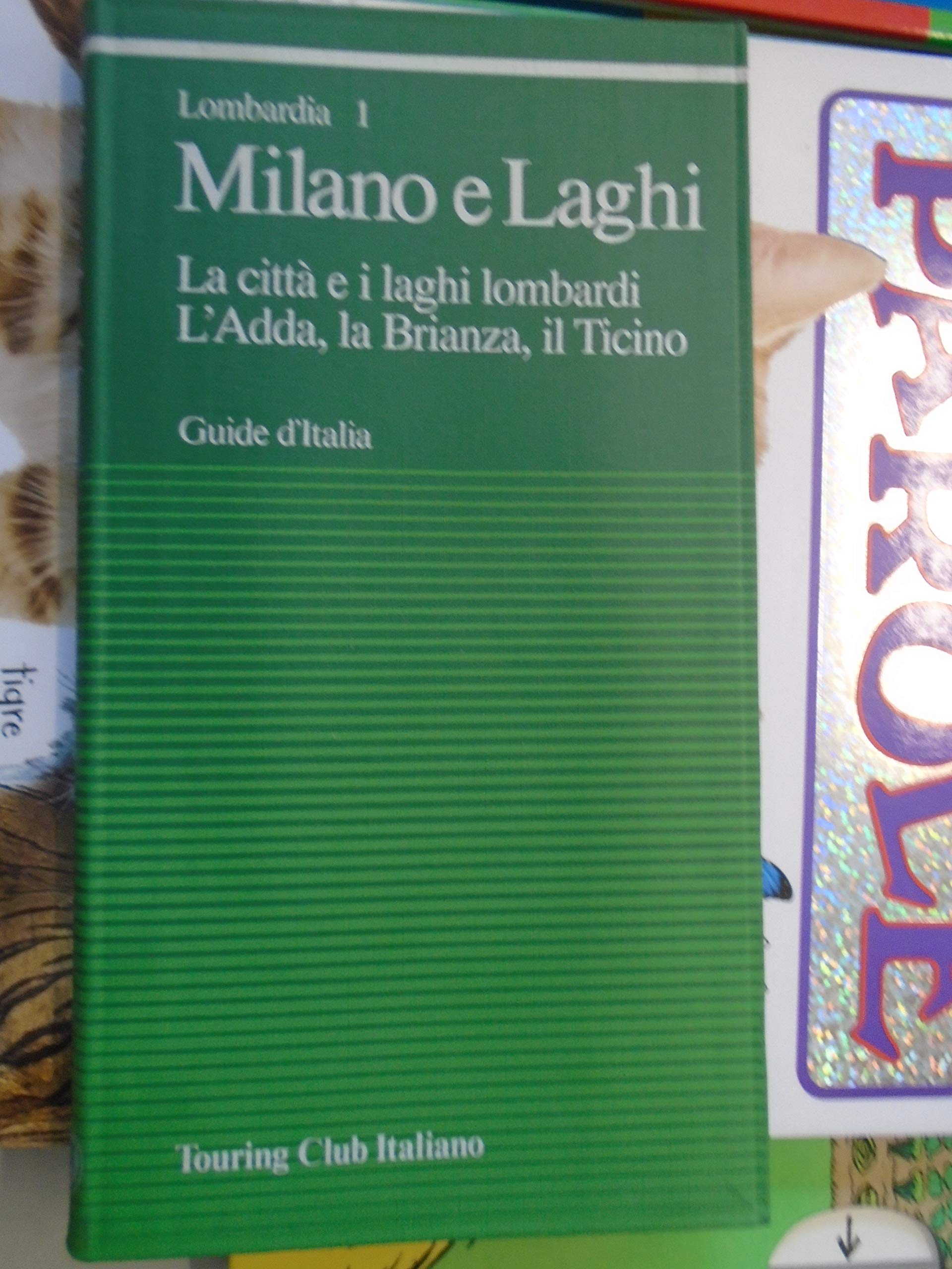 Lombardia. Milano e dintorni, la Brianza, laghi (Vol. 1) (Guide verdi d'Italia) Leisure, Home & Garden