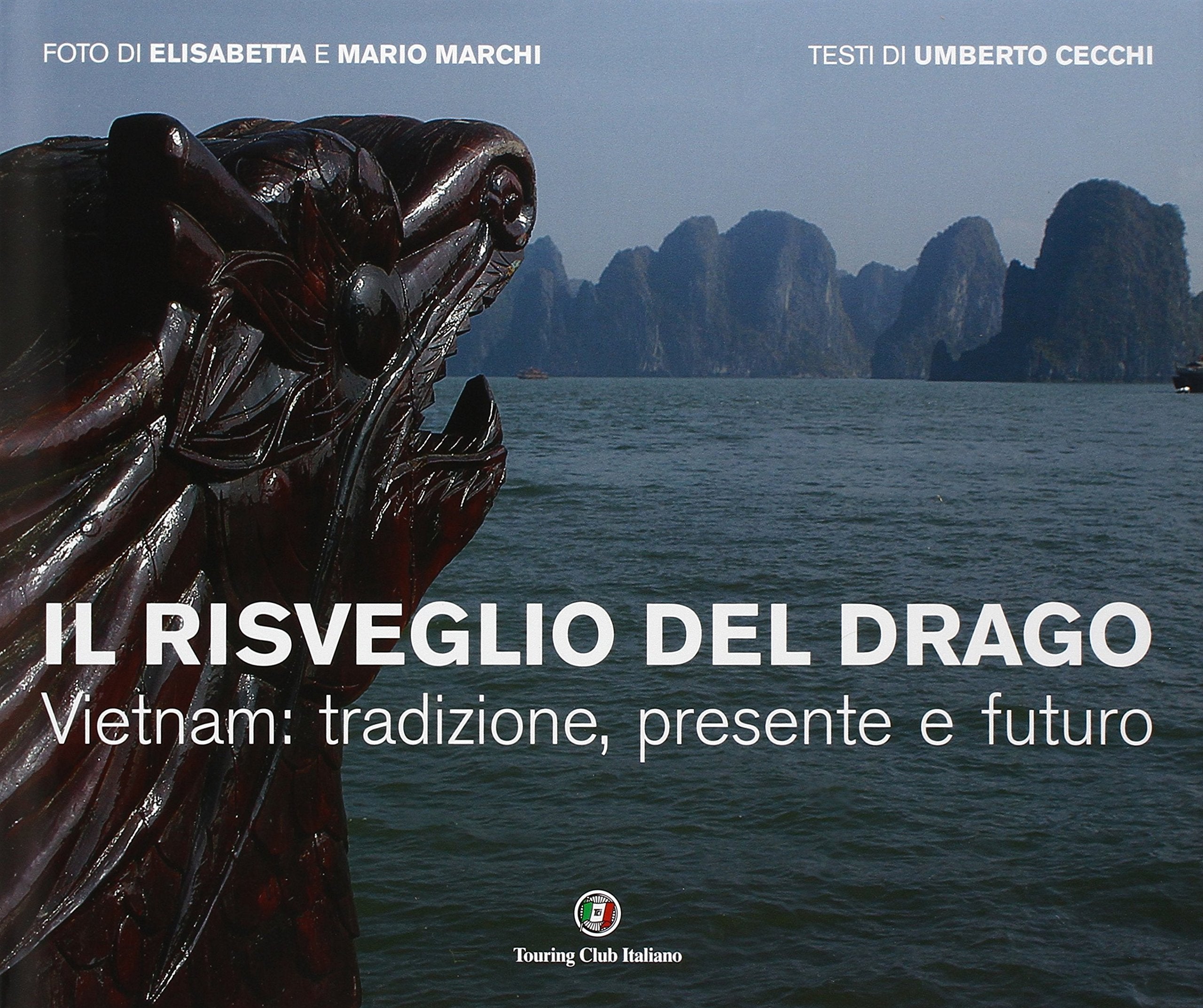 Il risveglio del drago. Vietnam: tradizione, presente e futuro (Immagini dal mondo) Leisure, Home & Garden