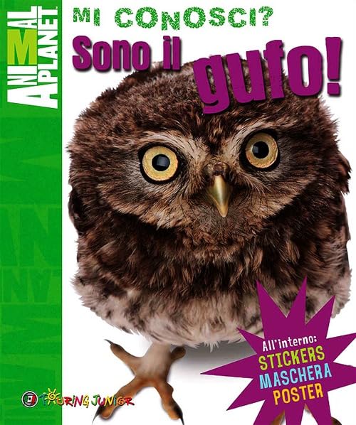 Sono il gufo! (Animal Planet. Mi conosci?) Non-fiction