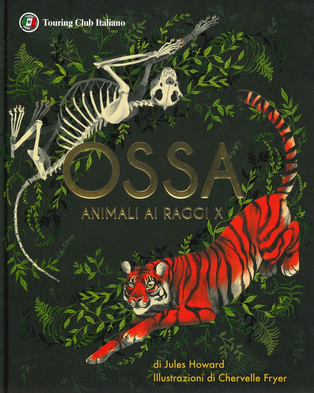 Ossa. Animali ai raggi X. Ediz. a colori book