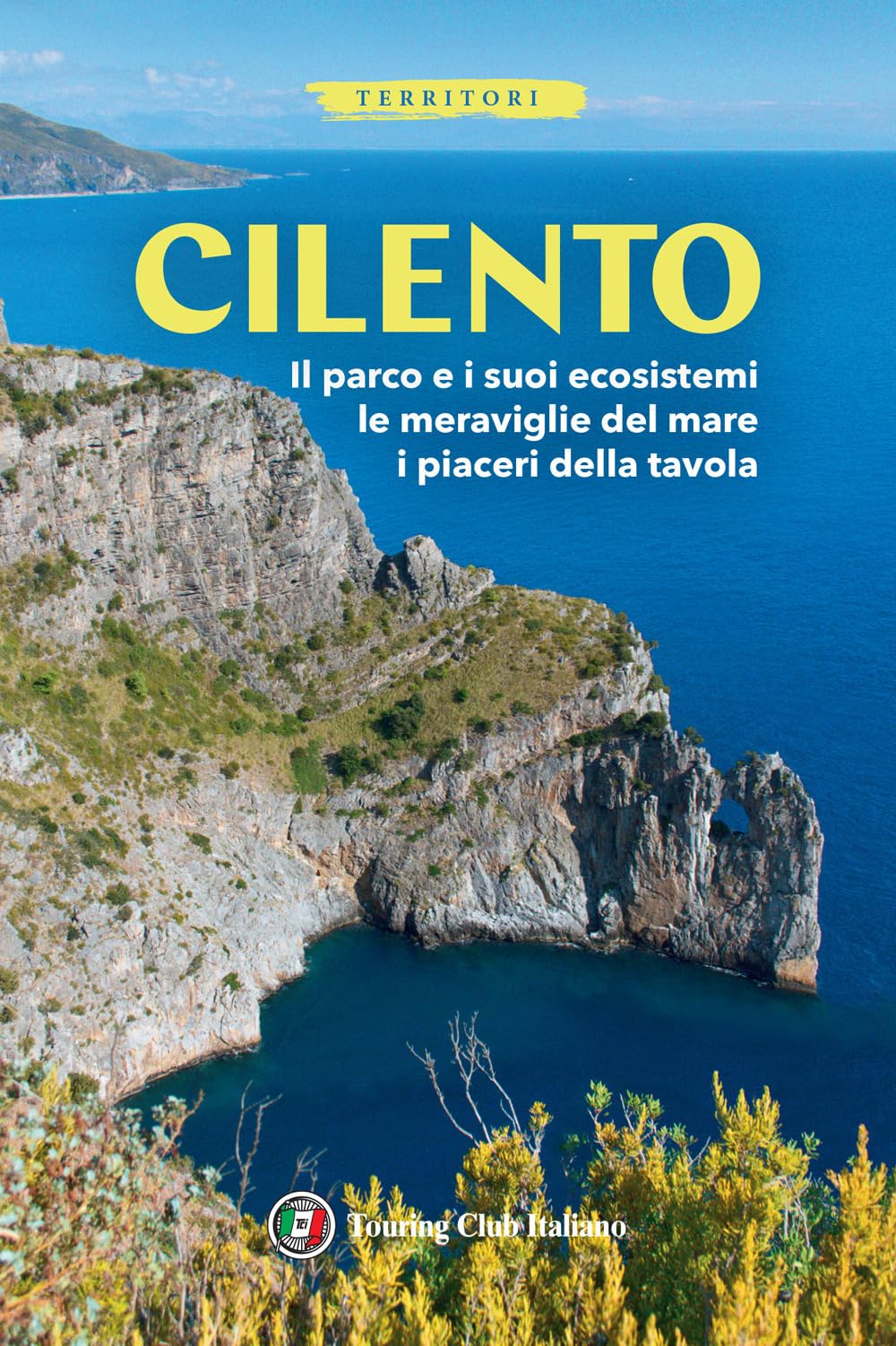 Cilento. Il parco e i suoi ecosistemi, le meraviglie del mare, i piaceri della tavola. Con Carta geografica ripiegata book